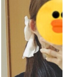 ブランド不明 | バレッタ/ヘアクリップ