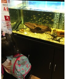 後ろ姿 | バックパック/リュック