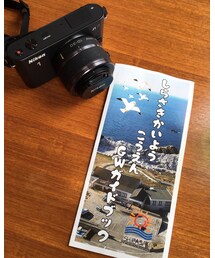 しらさきかいようこうえんGWガイドブック | その他