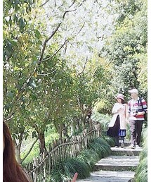 FREE PEOPLE | Tシャツ/カットソー