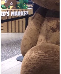 ZARA | バックパック/リュック