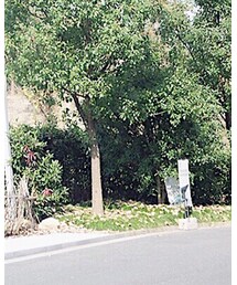 Domoto Tsuyoshi | ハンドバッグ