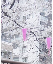 Mila Owen | スカート