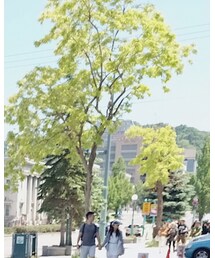 小喜利 | バッグ