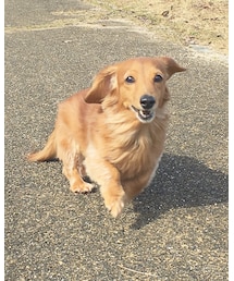 my dog🐶❤ | その他