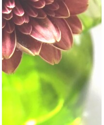 ZARA HOME | フラワーベース