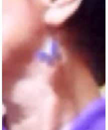 フォトプリントのアゲハ蝶 | ピアス（片耳用）