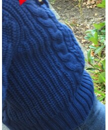 GAP | ニット/セーター