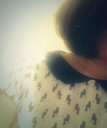 ZARA | シャツ/ブラウス