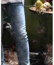 109 | その他パンツ