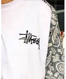 STUSSY | Tシャツ/カットソー