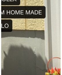 お花 | フラワーベース