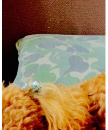 A BATHING APE | クッション/クッションカバー