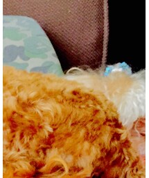 Duffy君‼️ | その他