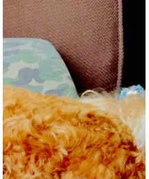 三男のdale,☆ | その他