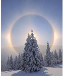 今日のワンショット | トップス