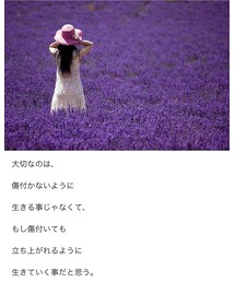 今日の格言 | トップス