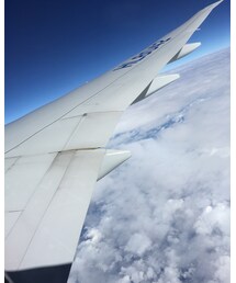 KOREAN AIR 777✈️ | トップス