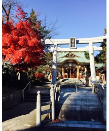 紅葉🍁と植田八幡宮⛩ | トップス