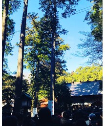 椿大社 猿田彦神社⛩ | トップス