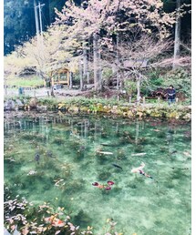 岐阜 関 モネの池 | トップス