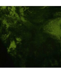 ニトリ | その他