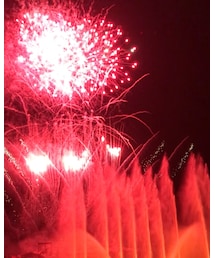 花火🎆 | その他