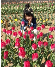 🌷 | その他