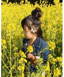 🐝 | その他