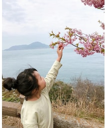 🌸 | その他