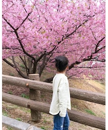 🌸 | その他