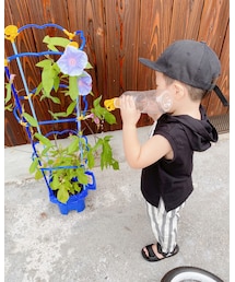 水やり🌸 | その他