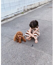 🐶 | 散歩♡(その他)