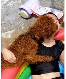 🐶🤣🤣 | その他