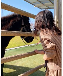 🐴♡ | その他