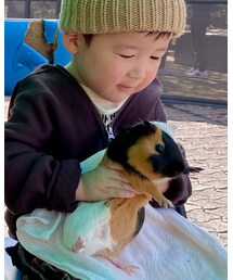 モルモット♥️ | その他