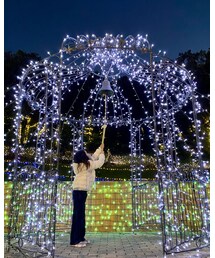 イルミネーション🌈 | その他