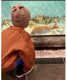 🎄🐟 | その他