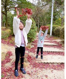 🍁 | その他