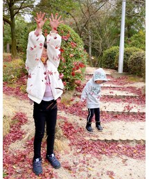 🍁 | その他