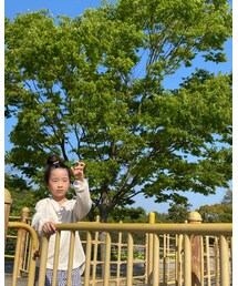 🌳 | その他