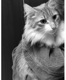 イケメン♡ | その他