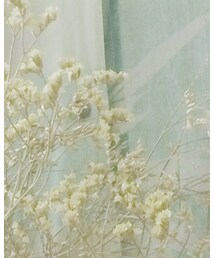 used | シャツ/ブラウス