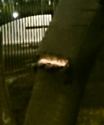 クラッシュ加工 | パンツ