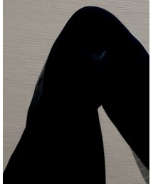 G.V.G.V. | スラックス