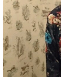 ZARA | ナイロンジャケット