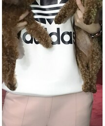 adidas | Tシャツ/カットソー