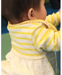 赤ちゃん本舗 | Tシャツ/カットソー