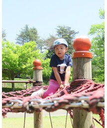 登ったけど降りれなくて助けての視線👀 | 登ったけど降りれなくて助けての視線👀(その他)