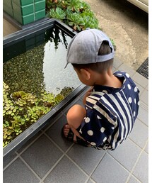 めだか🐠 | その他